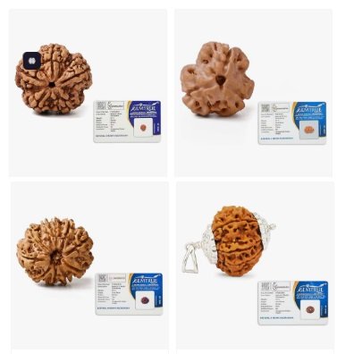 Gemsmantra Rudraksha